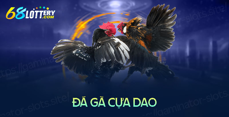 Thông tin về đá gà cựa dao cho người mới bắt đầu